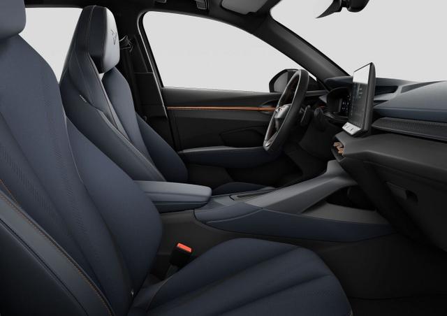 Cupra Terramar 1.5 eTSI 150 DSG LED VirCo SHZ Kam PDC 