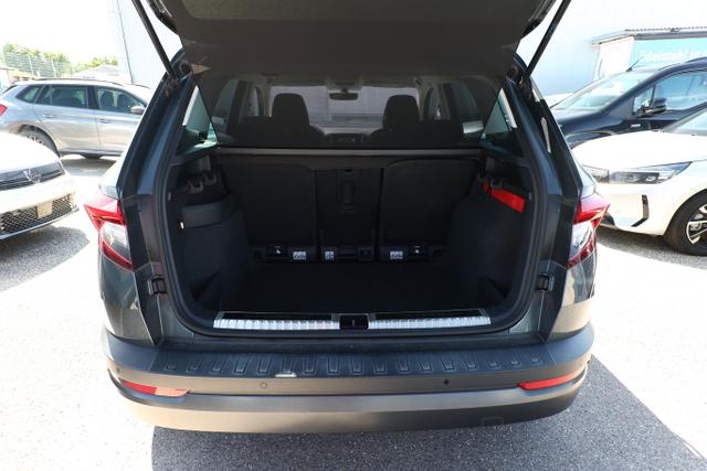 Skoda Karoq Ambition 1.6 TDI 116 DSG PDC SmartLi SunS 