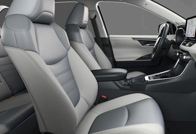 Toyota RAV4 Lounge 2.5 Hybrid 222 4x4 Nav Leder 360Kam 