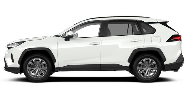 Toyota RAV4 Team Deutschland 2.5 Hybrid 222 4x4 D el.HK SHZ DigC 