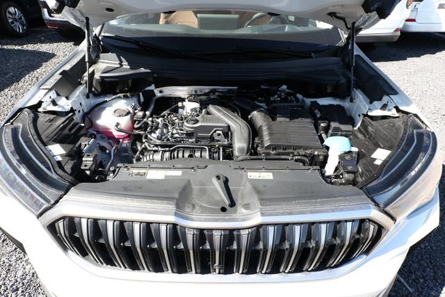 Kodiaq Selection eTSI DSG Selec Pano AHK 7S HUD 360° Leder 