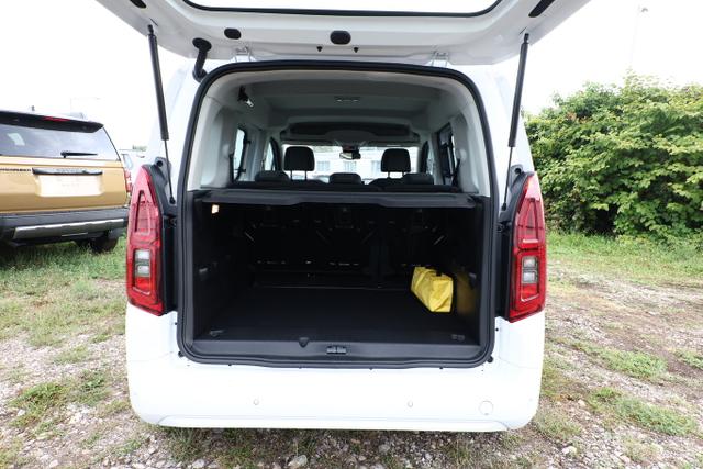 Combo 1.2 110 5-S DesignP IntelliLux PDC 10" DAB 