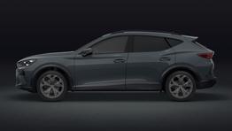 Cupra Formentor 1.5 eTSI 150 DSG LED SHZ ACC PDC Keyl 