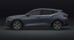 Cupra Formentor 1.5 eTSI 150 DSG LED AHK SHZ ACC PDC 