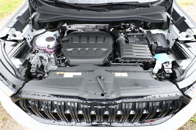 Skoda Kodiaq TSI 265 DSG 4x4 RS AHK Matrix DCC Canton 