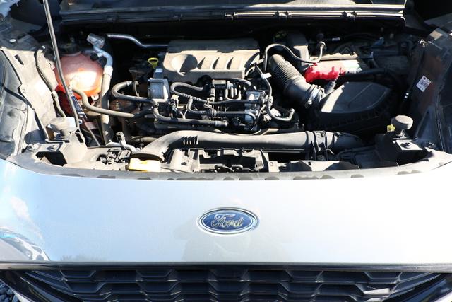 Ford Puma ST-Line X 1.0 EB 155 Mild Hybrid Pano AHK 