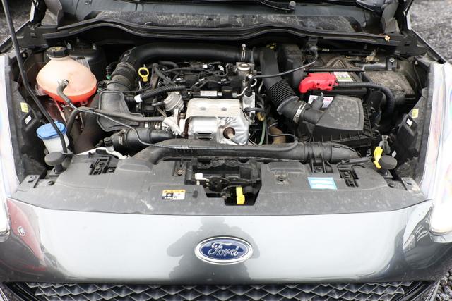 Ford Fiesta Active Colourline 1.0 EcoBoost 100 PDC 