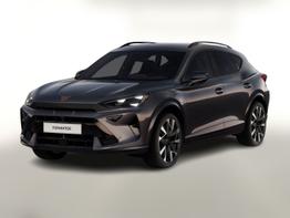 Cupra Formentor VZ 2.0 TSI 333 Memory Nav ehK SHZ Blis 