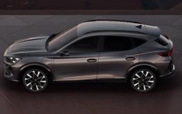 Cupra Formentor VZ 2.0 TSI 333 Memory Nav ehK SHZ Blis 