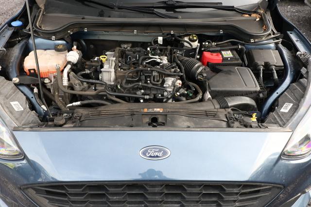 Ford Focus Turnier ST-Line 1.0 EB 155 LED AHK ACC SHZ PDC Kam 