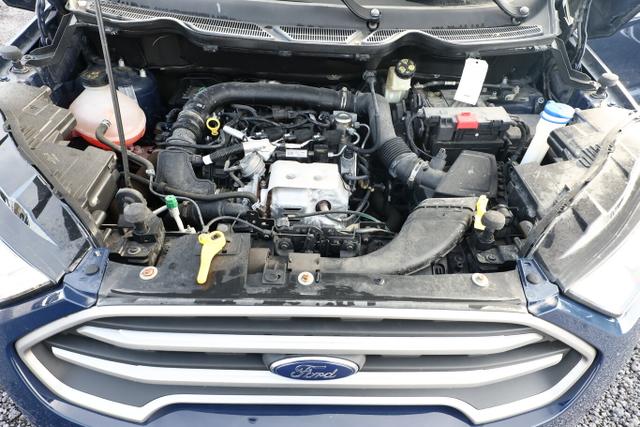 Ford EcoSport Trend 1.0 EB 125 Aut. PDC WinterP Klima 