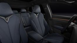 Cupra Terramar VZ DSG 4D Pano AHK intelliD DigiD 20" 