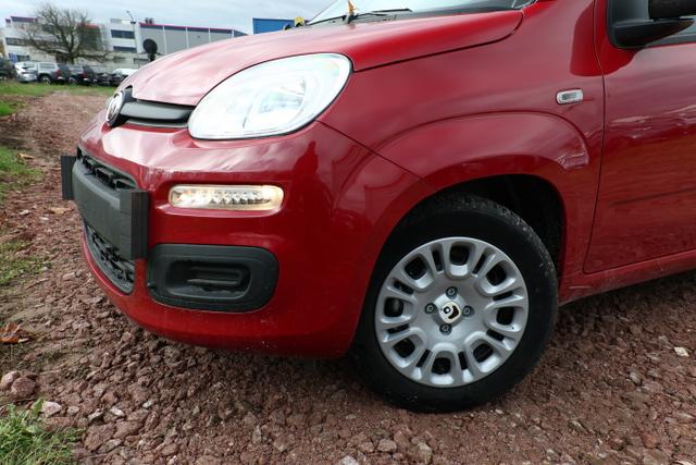 Fiat Panda MHEV 5"-DAB 5-Sitzer PDC DigCo LaneA Temp 