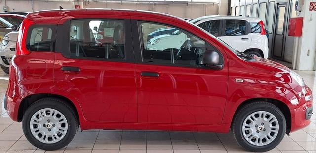 Fiat Panda MHEV 4-Sitzer DigCo Temp Klima LaneA MFL 