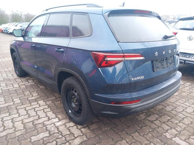 Skoda Karoq Tour 2.0 TDI 116 LED AHK Kam PDC ACC 17Z 