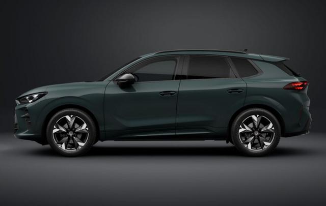 Cupra Terramar DSG EdgeP SHZ eHk Kam ACC 19" PrivG Amb 