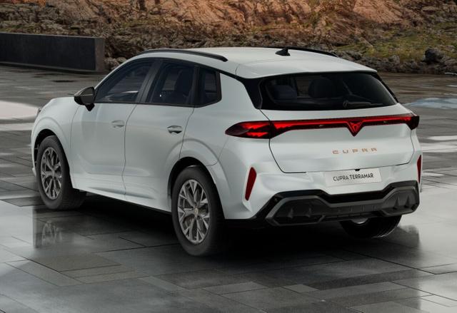 Cupra Terramar DSG IntelliD Dinamica Edge 360&deg; eHk ACC 