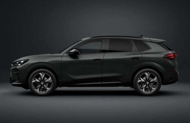 Cupra Terramar DSG EdgeP SHZ eHk Kam ACC 19" PrivG Amb 