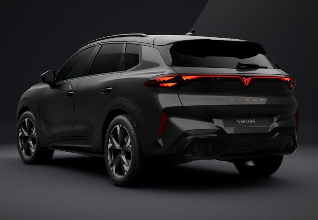 Cupra Terramar DSG EdgeP SHZ eHk Kam ACC 19" PrivG Amb 