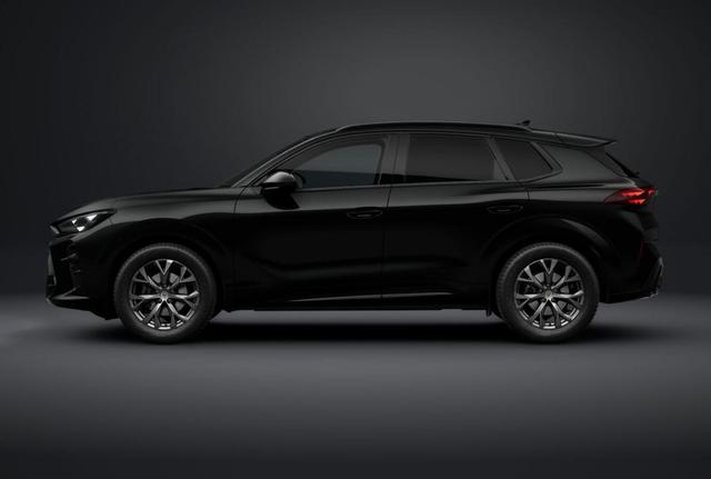 Cupra Terramar DSG EdgeP SHZ eHk Kam ACC PrivG Kessy 