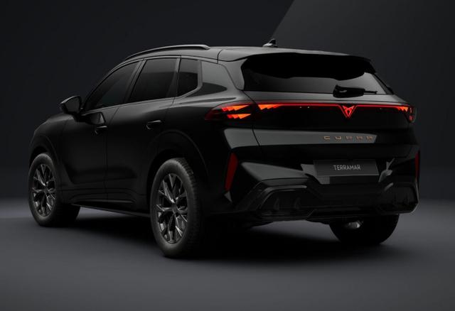 Cupra Terramar DSG EdgeP SHZ eHk Kam ACC PrivG Kessy 