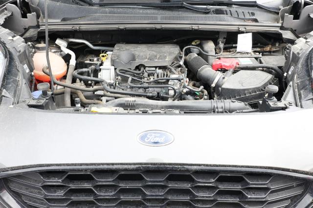 Ford Puma ST-Line 1.0 EcoBoost 125 LED Nav SHZ PDC 