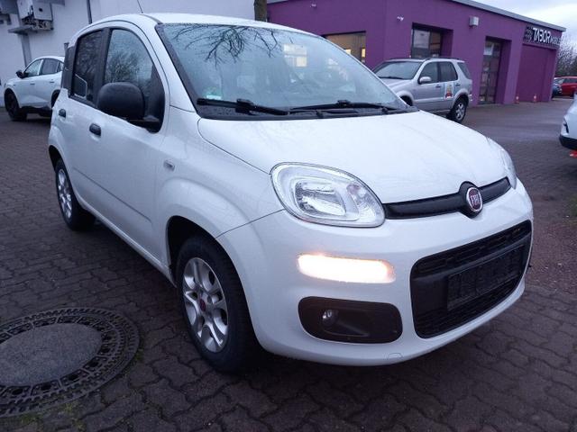 Fiat Panda - MORE 1.2 8V 70 Klimaanlage PDC UCon LM14Z