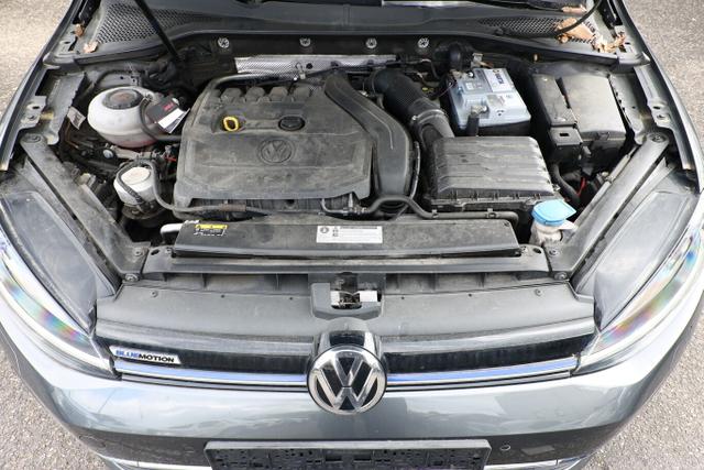 Volkswagen Golf IQ.DRIVE VII 1.5 TSI 130 Nav ACC KeyL 16Z 