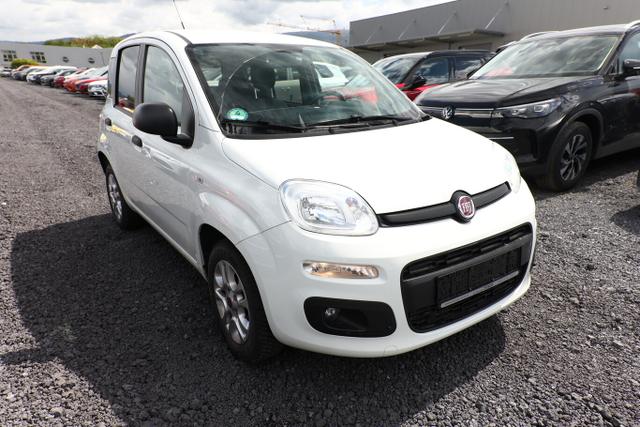 Fiat Panda - MORE 1.2 8V 70 Klimaanlage PDC UCon LM14Z