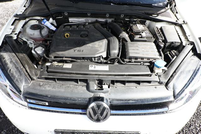 Volkswagen Golf IQ.DRIVE VII 1.5 TSI 150 DSG StandH LED Kam 
