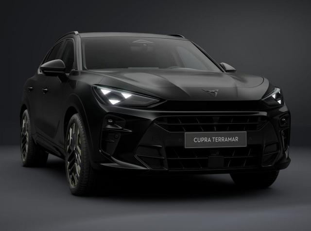 Cupra Terramar Tribe Edition DSG HeadUp 360&deg; Sennh el.Hk ParkA 