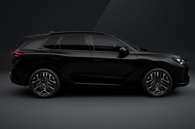 Cupra Terramar Tribe Edition DSG HeadUp 360&deg; Sennh el.Hk ParkA 