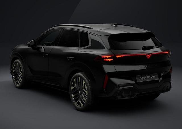 Cupra Terramar Tribe Edition DSG HeadUp 360&deg; Sennh el.Hk ParkA 