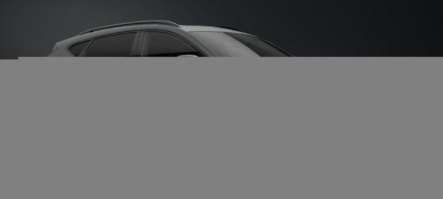 Cupra Formentor Tribe VZ DSG 4D Edition Pano Sennh. 