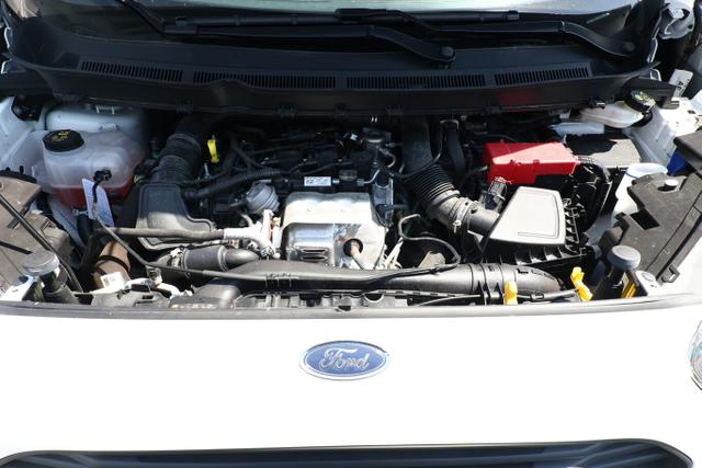 Ford Transit Courier Trend 1.0 EcoBoost 100 DAB NSW 