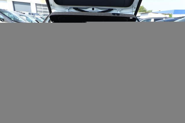 Volkswagen T-Roc R-Line EasyO AHK 5JGar Kam ParkAss+ PrivG 