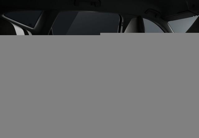 Cupra Formentor Tribe Edition DSG IntelliD Sennh. EdgeP 360&deg; 