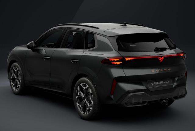 Terramar VZ 4D AHK eHk Kam SHZ ACC 3ZClim 19"LM 