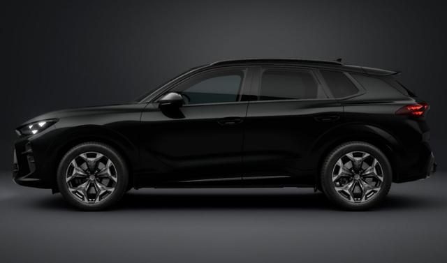 Cupra Terramar VZ 4D Pano AHK eHk Kam SHZ ACC 3ZClim 