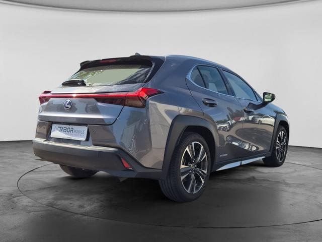 Lexus UX Luxury Line 250h Matrix LED Pano Memory Kam 