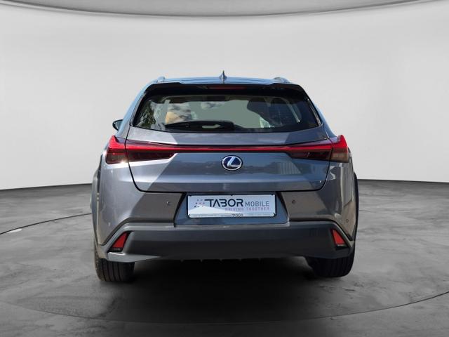 Lexus UX Luxury Line 250h Matrix LED Pano Memory Kam 