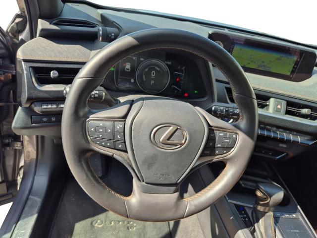 Lexus UX Luxury Line 250h Matrix LED Pano Memory Kam 