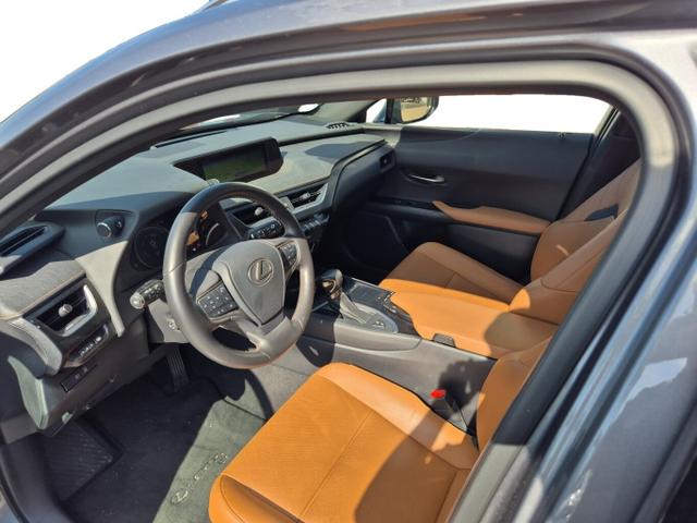 Lexus UX Luxury Line 250h Matrix LED Pano Memory Kam 