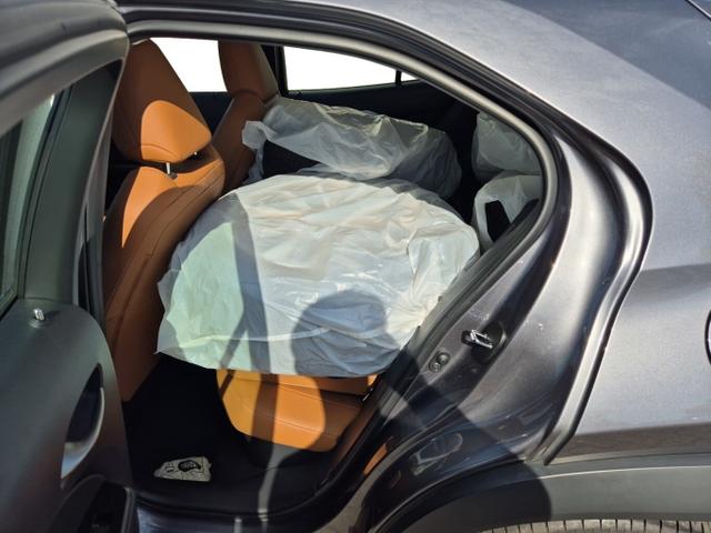 Lexus UX Luxury Line 250h Matrix LED Pano Memory Kam 
