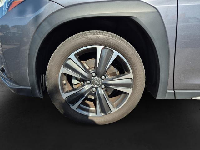 Lexus UX Luxury Line 250h Matrix LED Pano Memory Kam 
