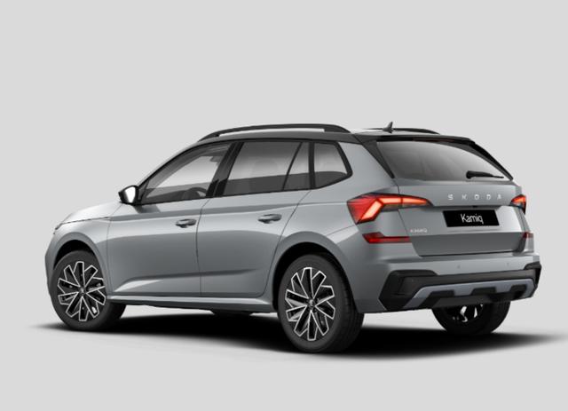 Skoda Kamiq Selection DSG Selec LED 5J/100k Kessy SunS Kam SHZ 
