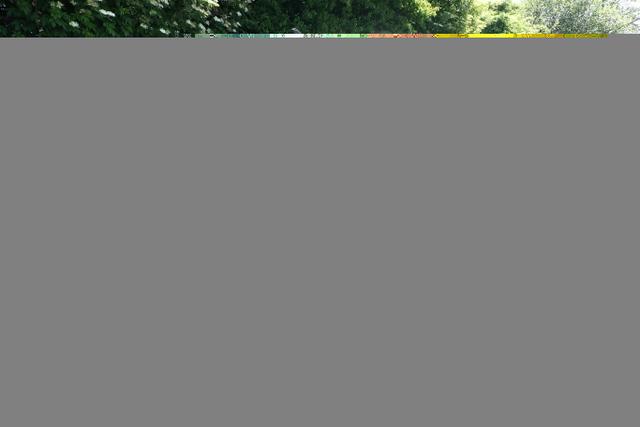 Volkswagen Tiguan DSG LED+ IQ.DRIVE SHZ 5JGar. Keyl 17Z ACC 