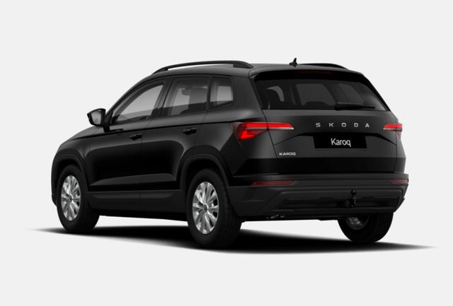 Skoda Karoq Selection DSG Selec AHK Kessy Kam SHZ SunS 4J/120k 