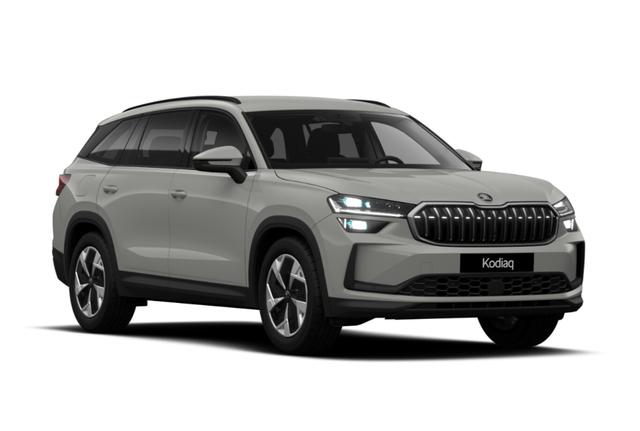 Kodiaq Selection Selec AHK Matrix Nav Kessy ACC SunS SHZ 