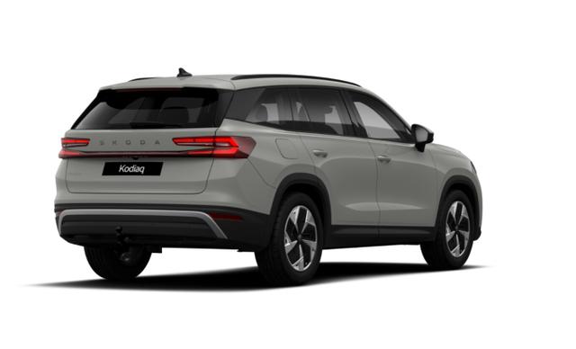 Kodiaq Selection Selec AHK Matrix Nav Kessy ACC SunS SHZ 